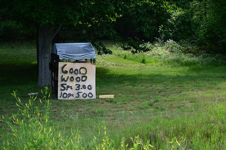 Sanctioned firewood at PJ Hoffmaster park. Photo by Mark Wedel.