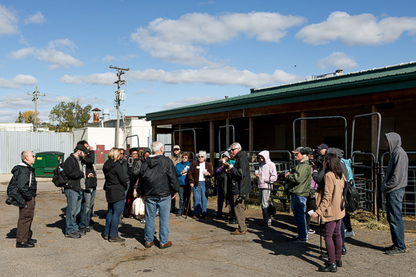 Pingree Farms is part of the Milton Manufacturing complex